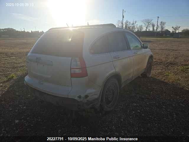 2009 Honda Cr-V Ex-L VIN: 5J6RE48749L805166 Lot: 20227791