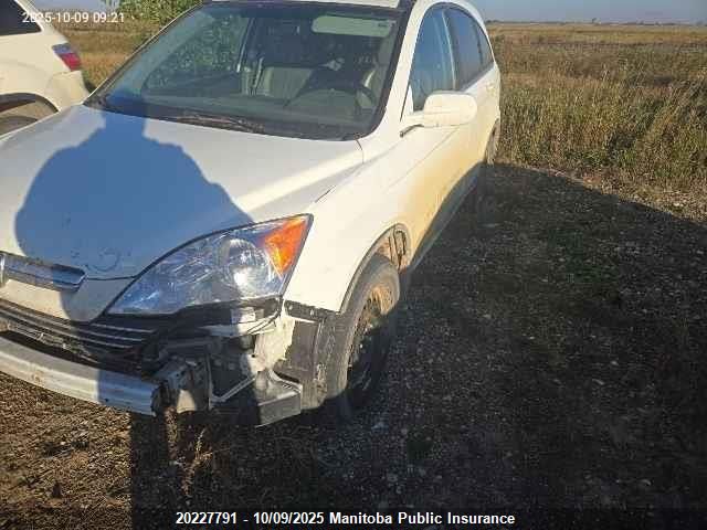 2009 Honda Cr-V Ex-L VIN: 5J6RE48749L805166 Lot: 20227791