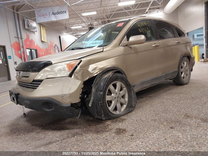 2009 Honda Cr-V Ex-L VIN: 5J6RE48709L801468 Lot: 20227793
