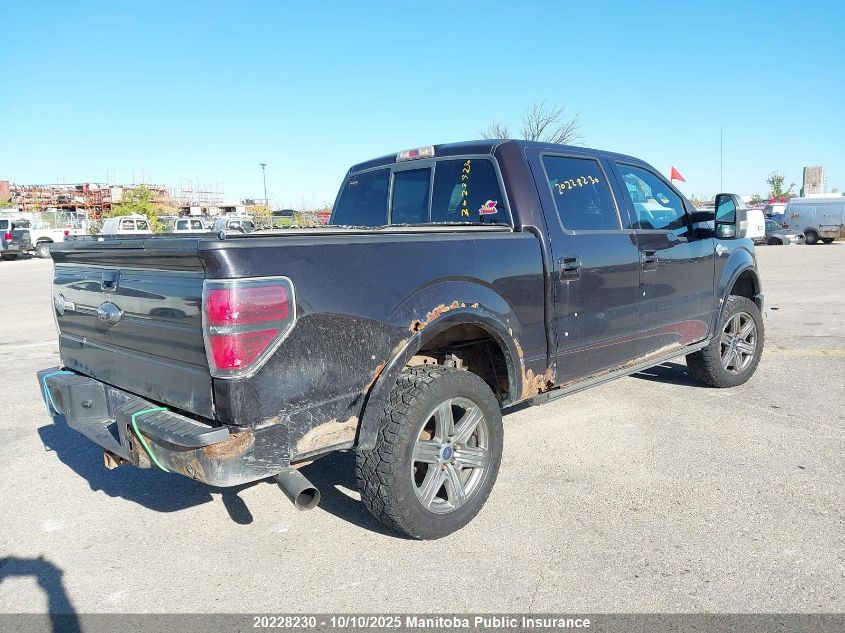 2010 Ford F-Series VIN: 1FTFW1EV4AFA05512 Lot: 20228230