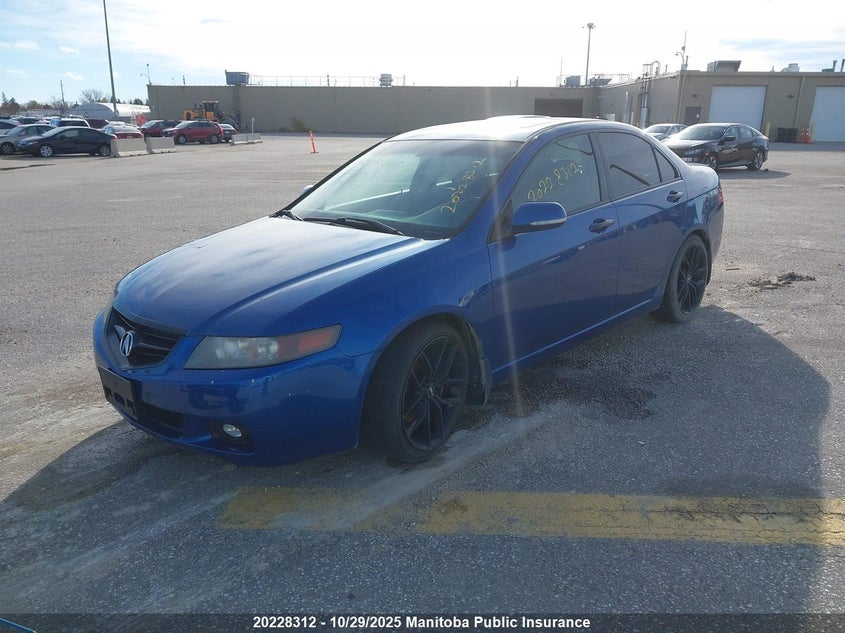 2005 Acura Tsx VIN: JH4CL95835C800304 Lot: 20228312