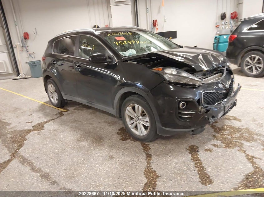 KNDPMCAC3K7497231 2019 Kia Sportage Lx auction photo 1