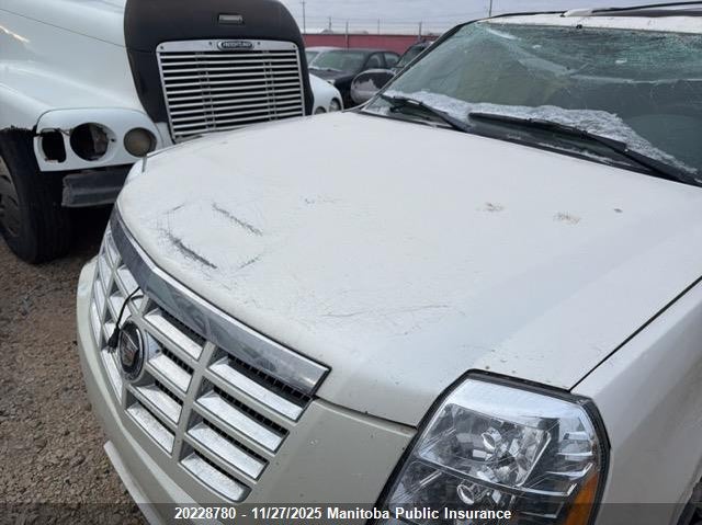 2007 Cadillac Escalade VIN: 1GYFK63897R306767 Lot: 20228780