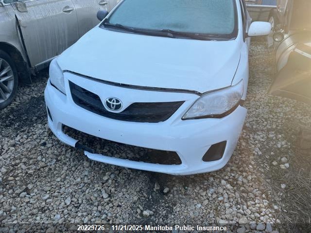 2009 Toyota Corolla S VIN: 2T1BU40E09C049301 Lot: 20229726