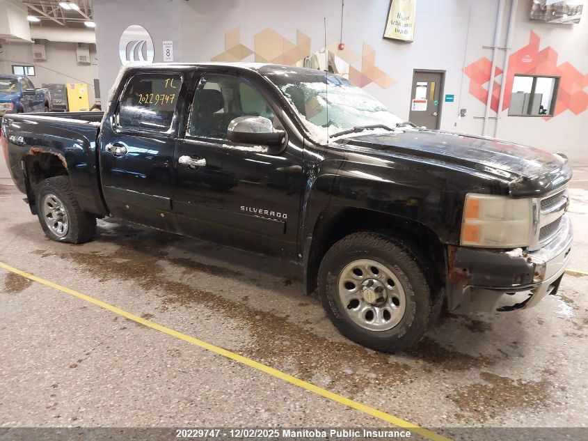 CHEVROLET SILVERADO 1500 SILVERADO 1500 LS CREW CAB
