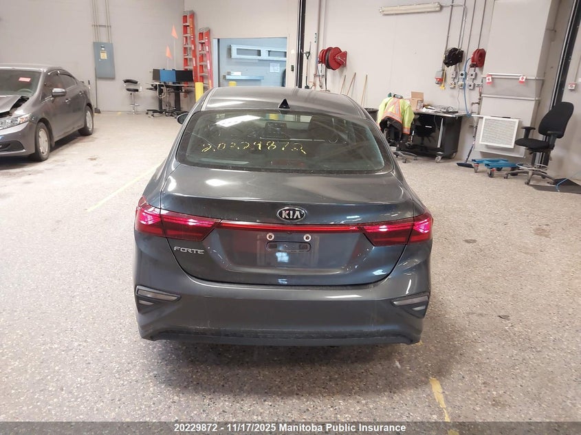 2019 Kia Forte Lx VIN: 3KPF24AD1KE134605 Lot: 20229872