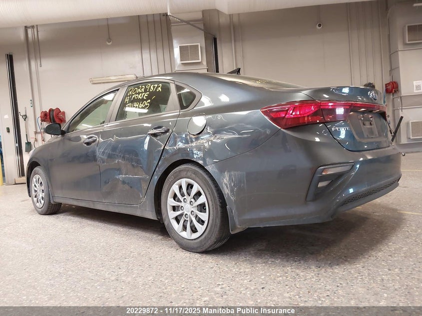 2019 Kia Forte Lx VIN: 3KPF24AD1KE134605 Lot: 20229872