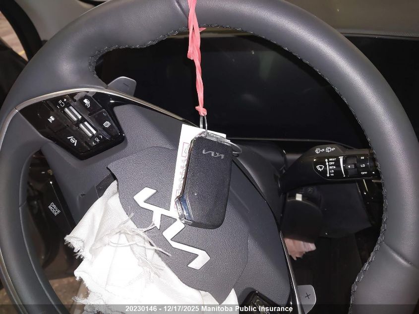 2025 Kia Niro Ex VIN: KNDCR3LE2S5305968 Lot: 20230146