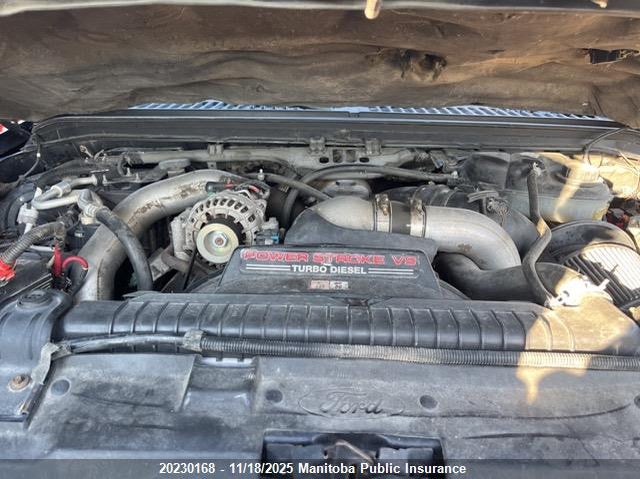 2003 Ford Excursion Eddie Bauer VIN: 1FMSU45P33EC62480 Lot: 20230168