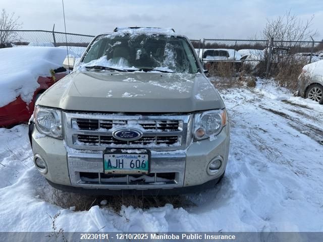 2011 Ford Escape Limited V6 VIN: 1FMCU9EG6BKC14179 Lot: 20230191