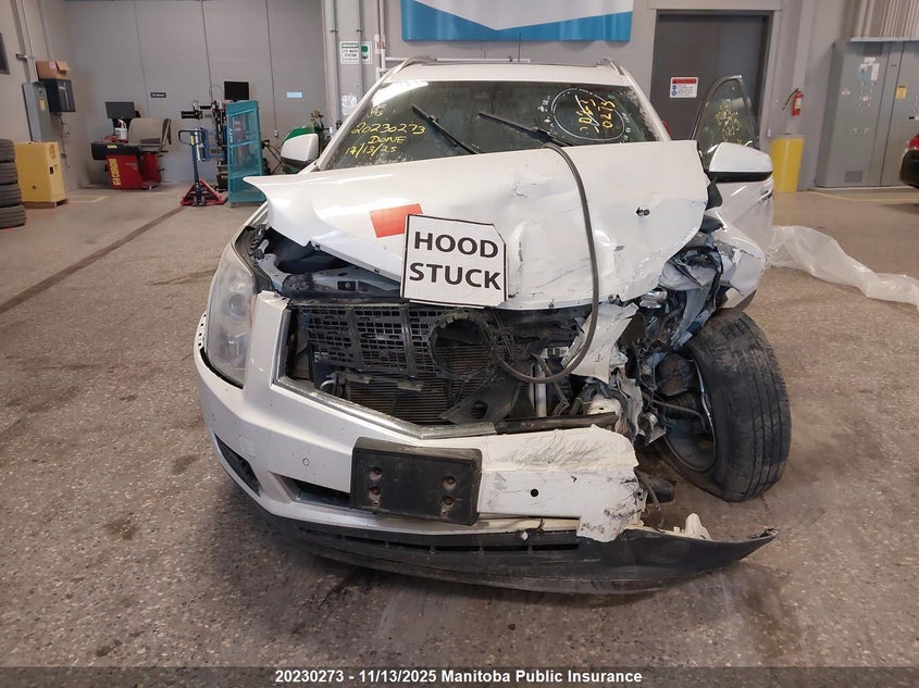 2015 Cadillac Srx V6 VIN: 3GYFNEE33FS634491 Lot: 20230273