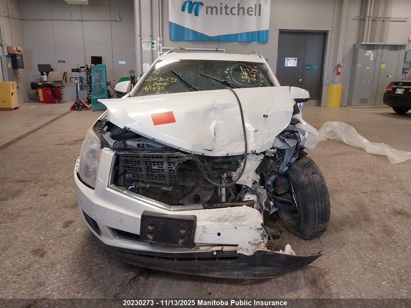 2015 Cadillac Srx V6 VIN: 3GYFNEE33FS634491 Lot: 20230273