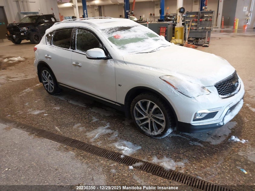 JN1BJ0RR0HM417133 2017 Infiniti Qx50 auction photo 1