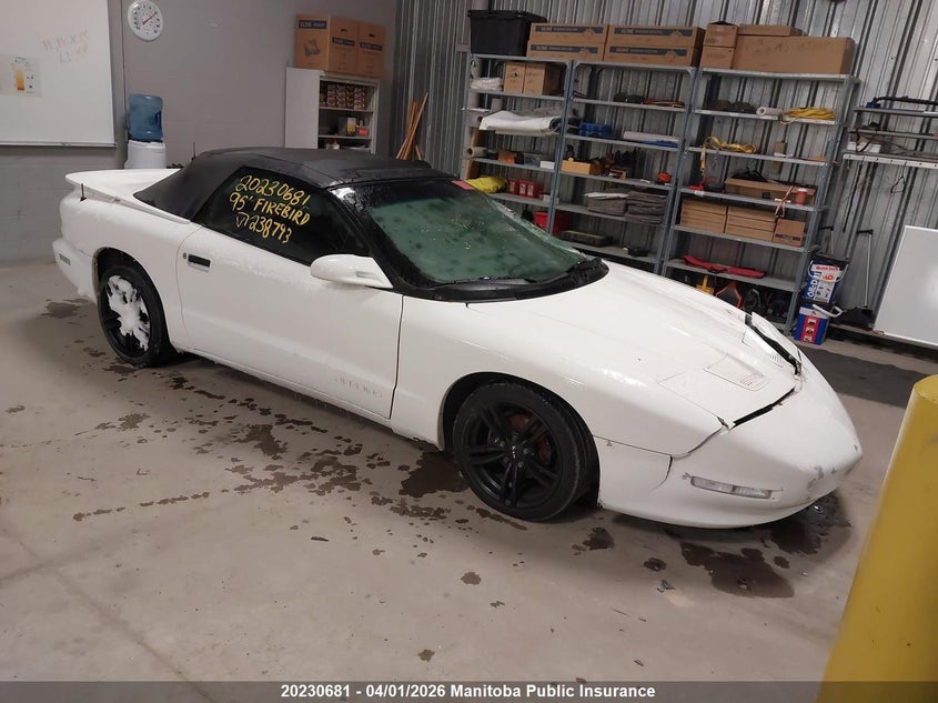 1995 PONTIAC FIREBIRD