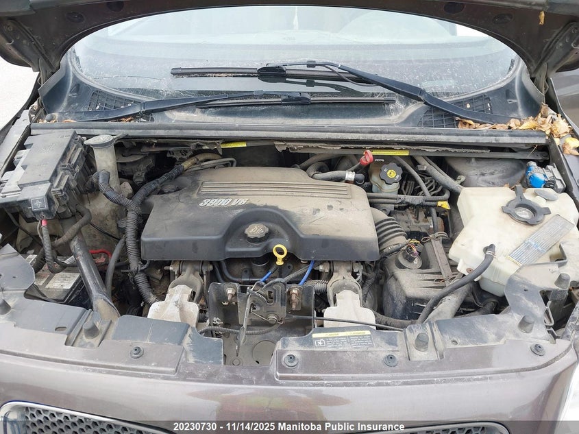 2009 Pontiac Montana Sv6 Sv6 VIN: 1GMDU03199D109116 Lot: 20230730