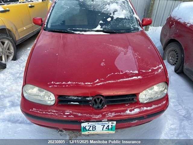 2002 Volkswagen Golf Gl Tdi VIN: 9BWGP61J624006701 Lot: 20230805