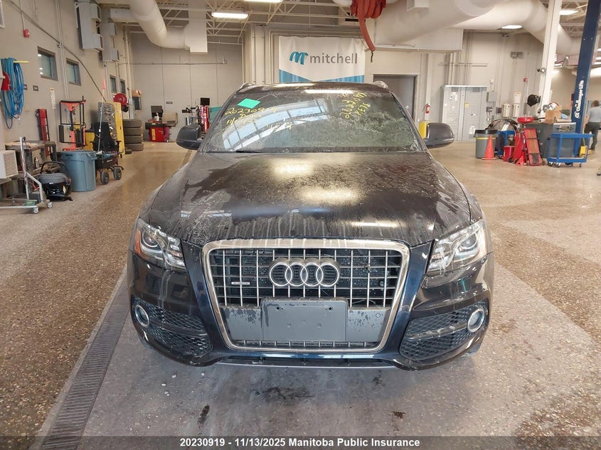 WA1WFCFP5BA038300 2011 AUDI Q5 photo no. 6