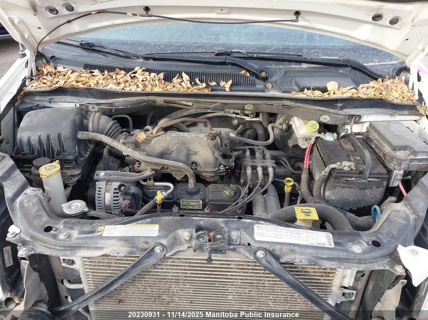 2010 Dodge Grand Caravan Se VIN: 2D4RN4DE3AR312765 Lot: 20230931