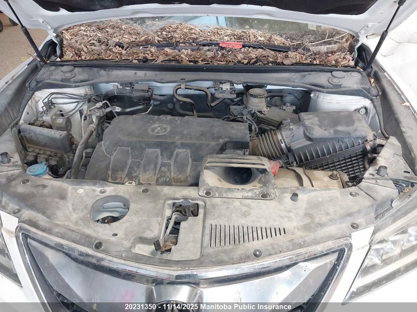 2018 Acura Rdx VIN: 5J8TB4H75JL800018 Lot: 20231350