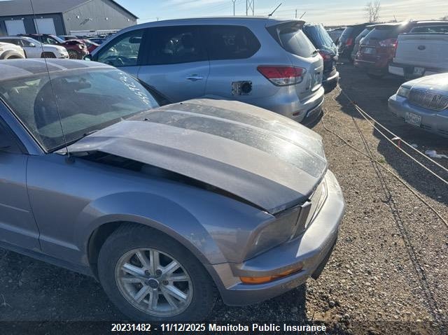 2006 Ford Mustang VIN: 1ZVFT80N165171019 Lot: 20231482