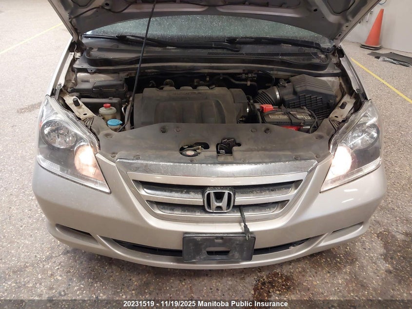 2007 Honda Odyssey Lx VIN: 5FNRL38297B502779 Lot: 20231519