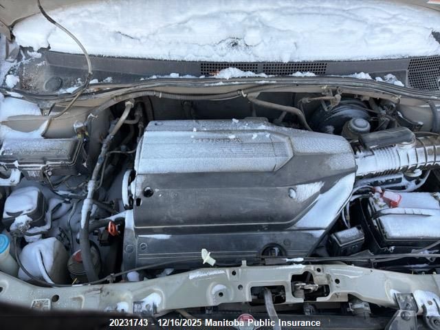 2003 Honda Odyssey Ex VIN: 2HKRL186X3H006442 Lot: 20231743