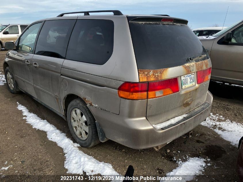 2003 Honda Odyssey Ex VIN: 2HKRL186X3H006442 Lot: 20231743