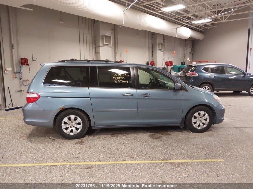 2005 Honda Odyssey Ex VIN: 5FNRL38435B509418 Lot: 20231795