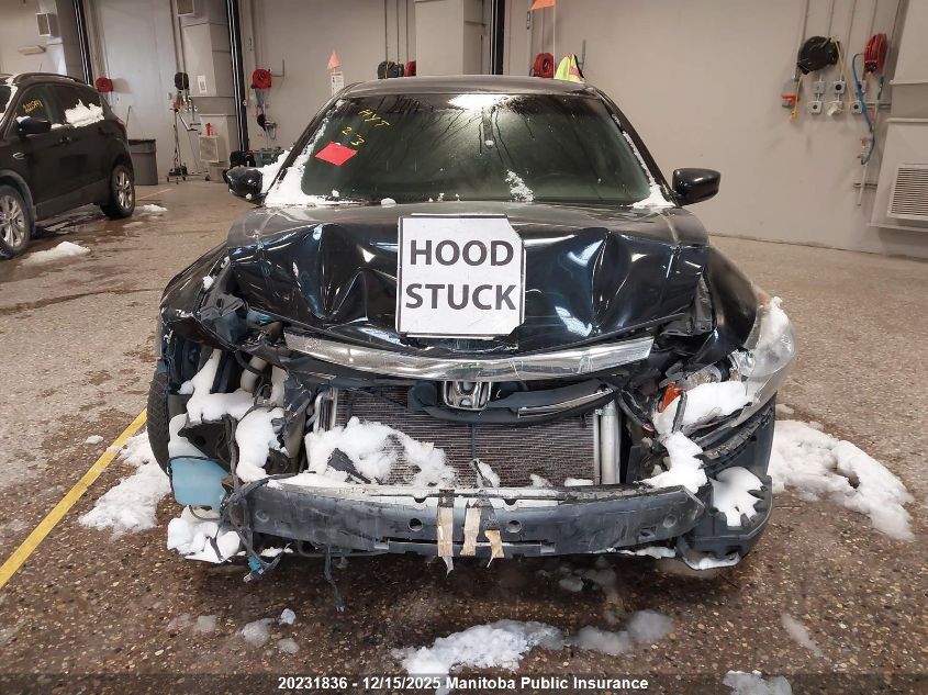 2012 Honda Accord Ex-L VIN: 1HGCP2F80CA802338 Lot: 20231836