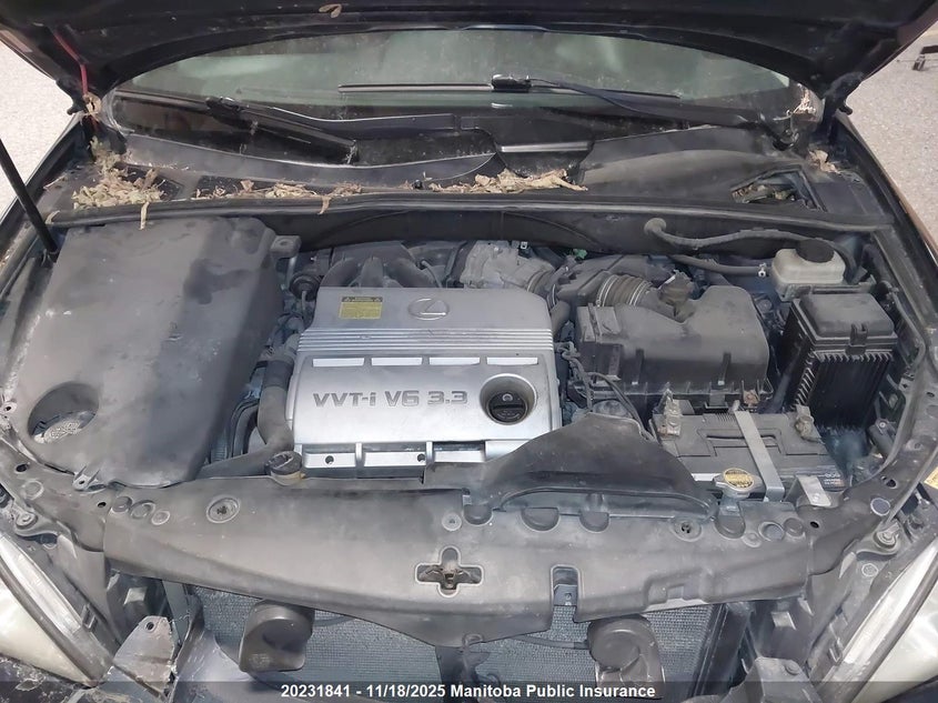 2004 Lexus Rx330 VIN: JTJHA31U240017727 Lot: 20231841