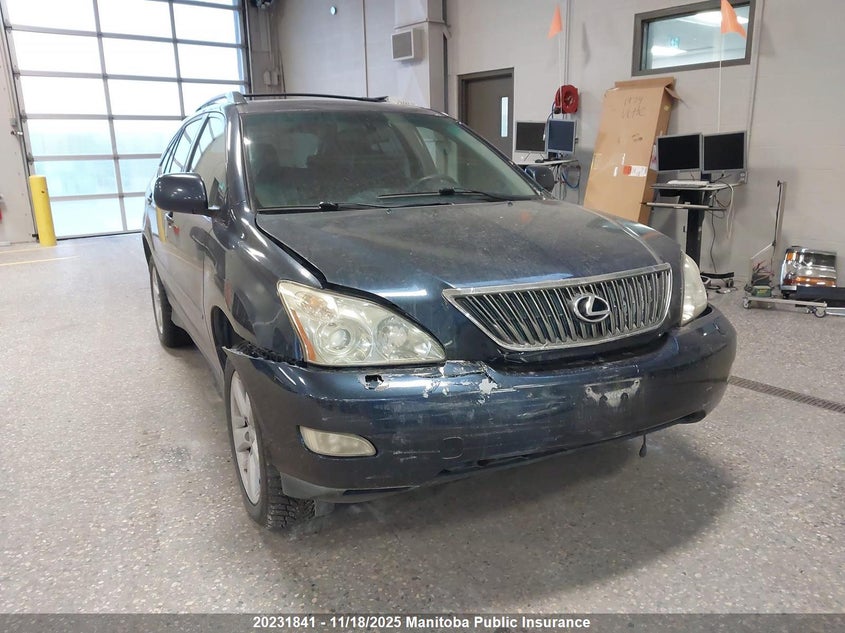 2004 Lexus Rx330 VIN: JTJHA31U240017727 Lot: 20231841