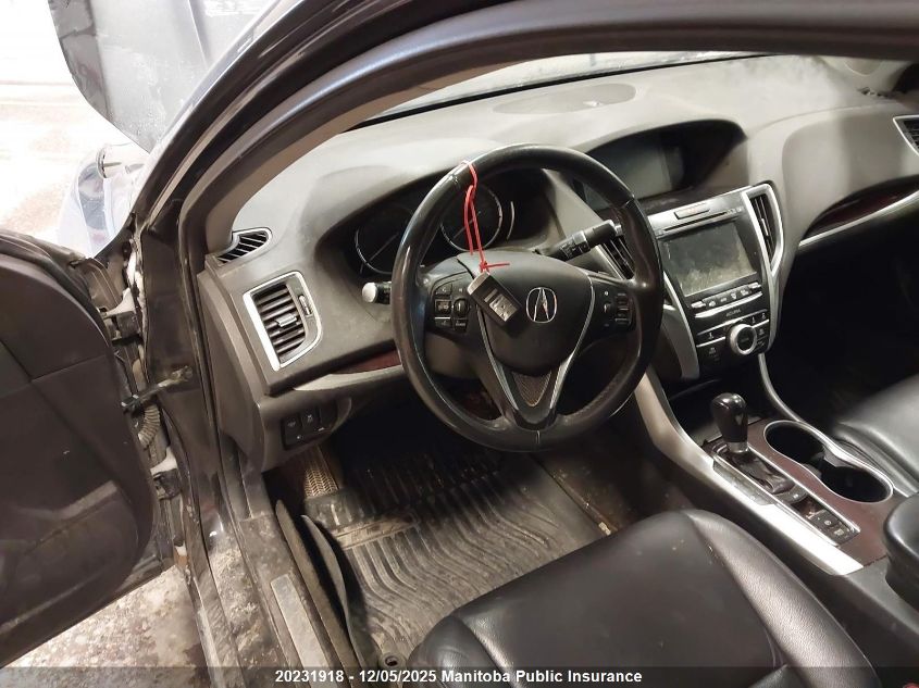 2015 Acura Tlx VIN: 19UUB1F32FA800404 Lot: 20231918