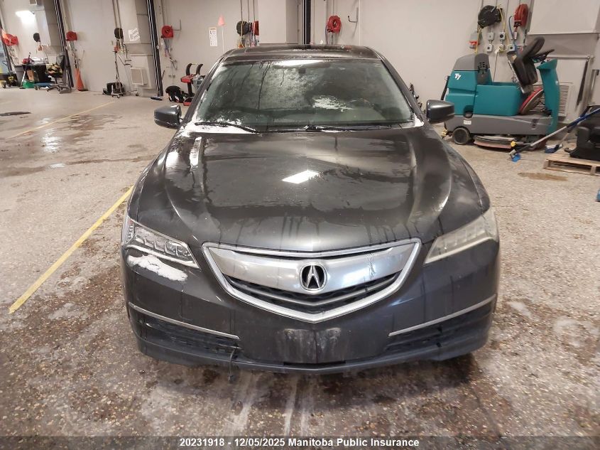 2015 Acura Tlx VIN: 19UUB1F32FA800404 Lot: 20231918