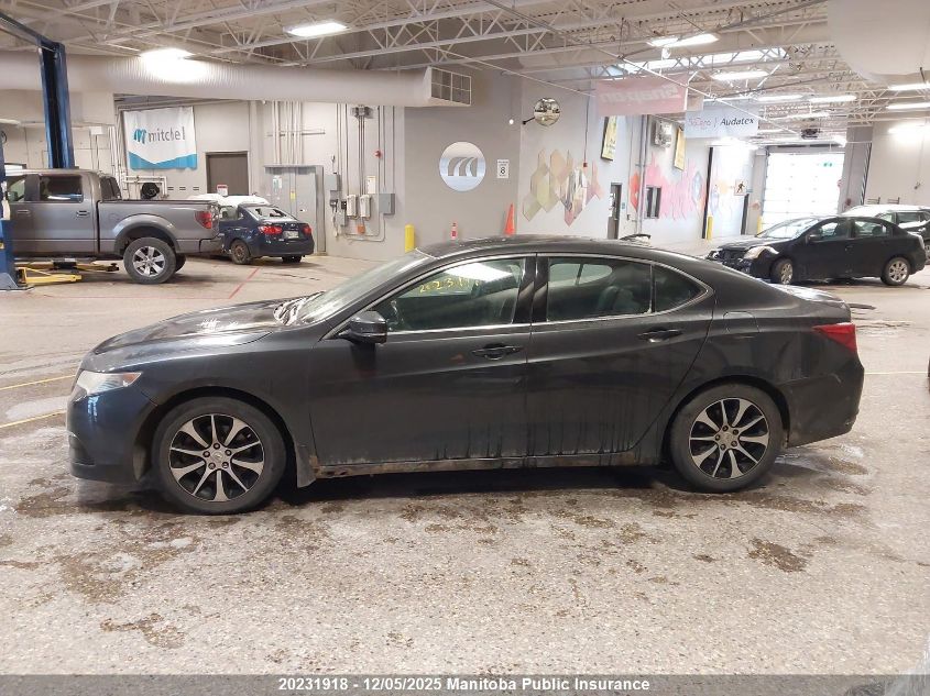 2015 Acura Tlx VIN: 19UUB1F32FA800404 Lot: 20231918