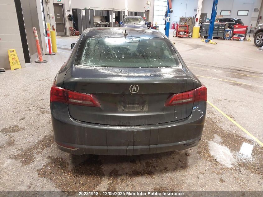 2015 Acura Tlx VIN: 19UUB1F32FA800404 Lot: 20231918