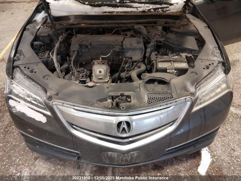 2015 Acura Tlx VIN: 19UUB1F32FA800404 Lot: 20231918