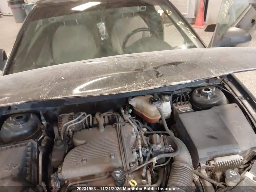 2007 Pontiac G6 Gt VIN: 1G2ZH36N674146981 Lot: 20231953