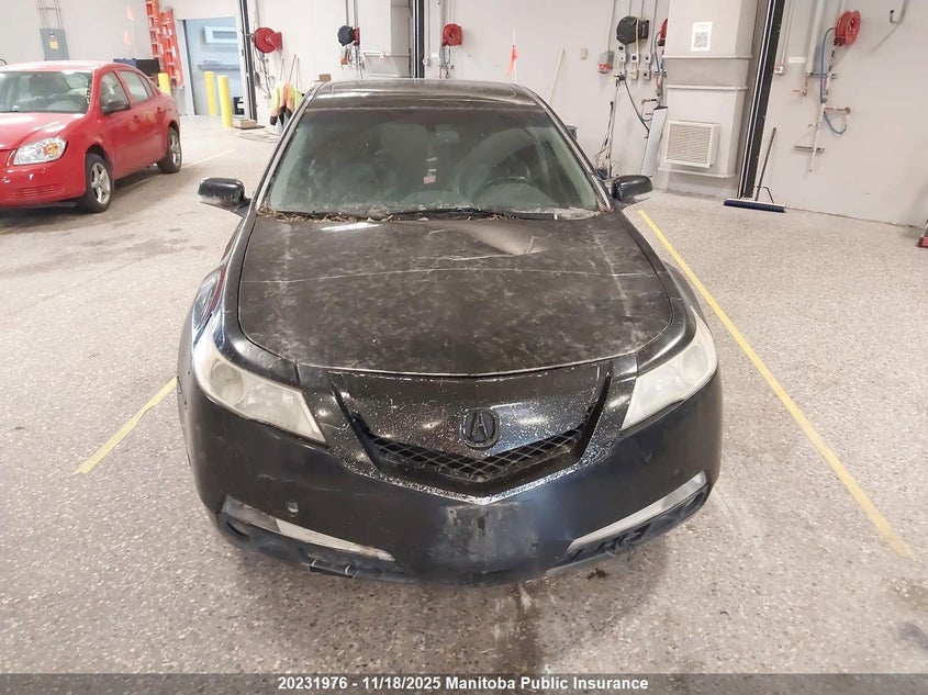 2009 Acura Tl VIN: 19UUA86589A801185 Lot: 20231976