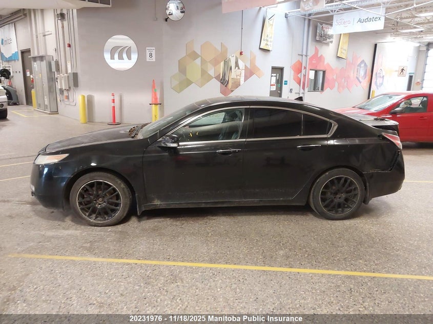 2009 Acura Tl VIN: 19UUA86589A801185 Lot: 20231976