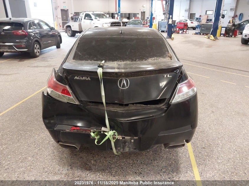 2009 Acura Tl VIN: 19UUA86589A801185 Lot: 20231976