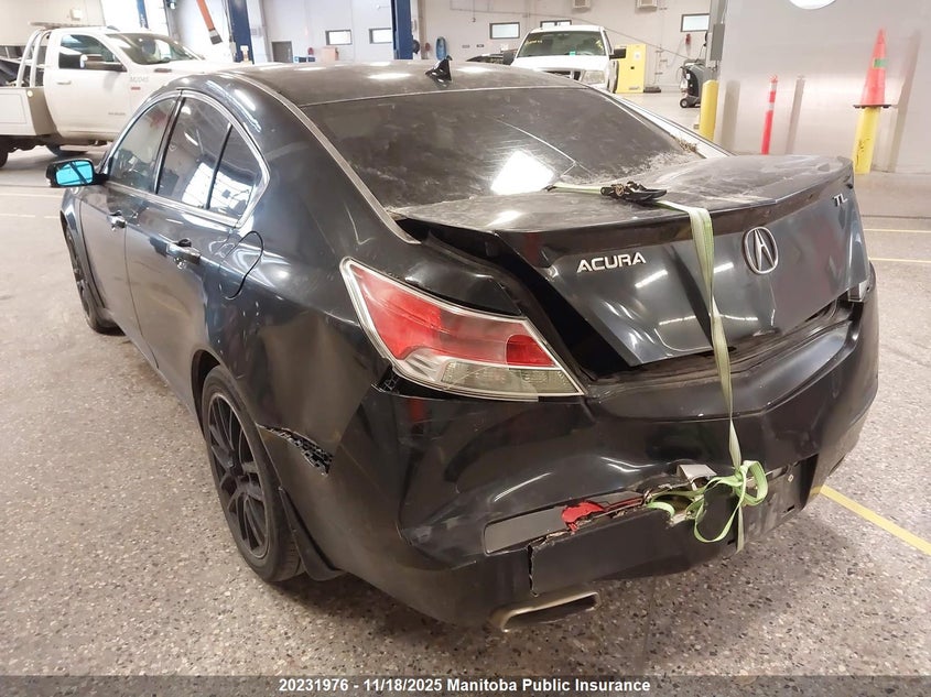 2009 Acura Tl VIN: 19UUA86589A801185 Lot: 20231976