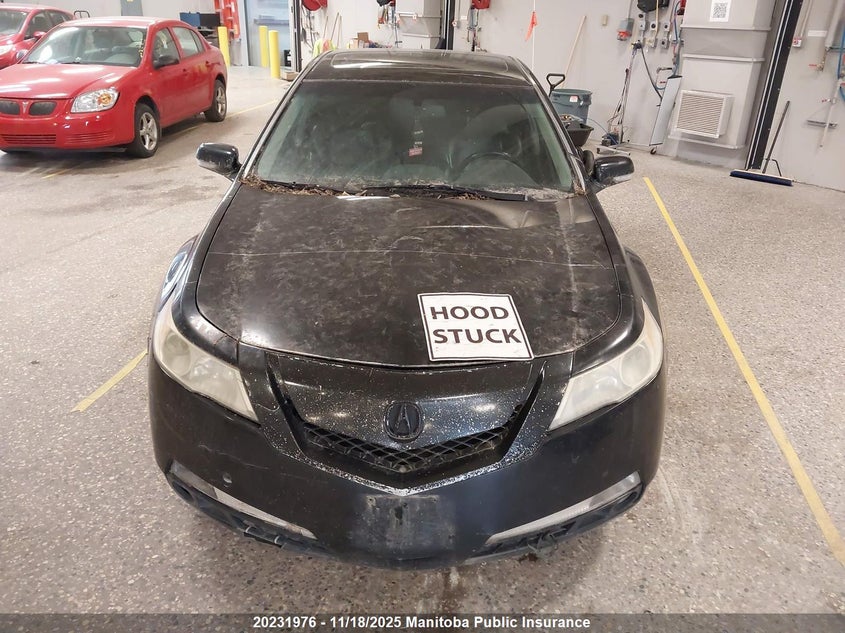 2009 Acura Tl VIN: 19UUA86589A801185 Lot: 20231976