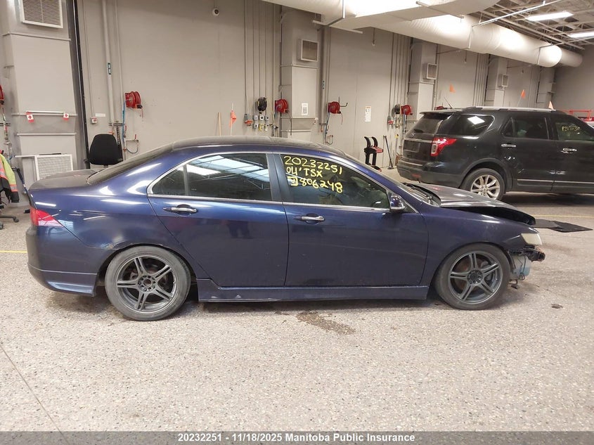 2004 Acura Tsx VIN: JH4CL95874C806248 Lot: 20232251