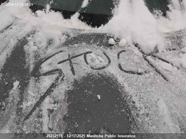 2015 Nissan Rogue Sl VIN: 5N1AT2MV4FC823773 Lot: 20232515