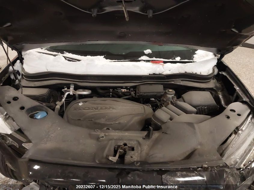 2025 Honda Passport Sport VIN: 5FNYF8H22SB501112 Lot: 20232607