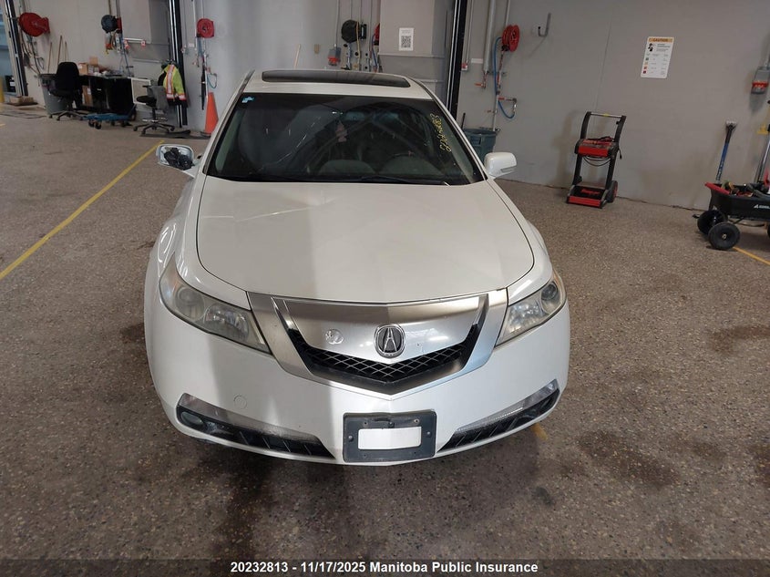 2010 Acura Tl VIN: 19UUA8F29AA800444 Lot: 20232813