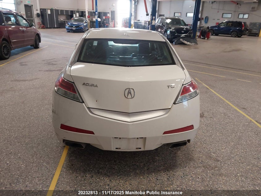 2010 Acura Tl VIN: 19UUA8F29AA800444 Lot: 20232813