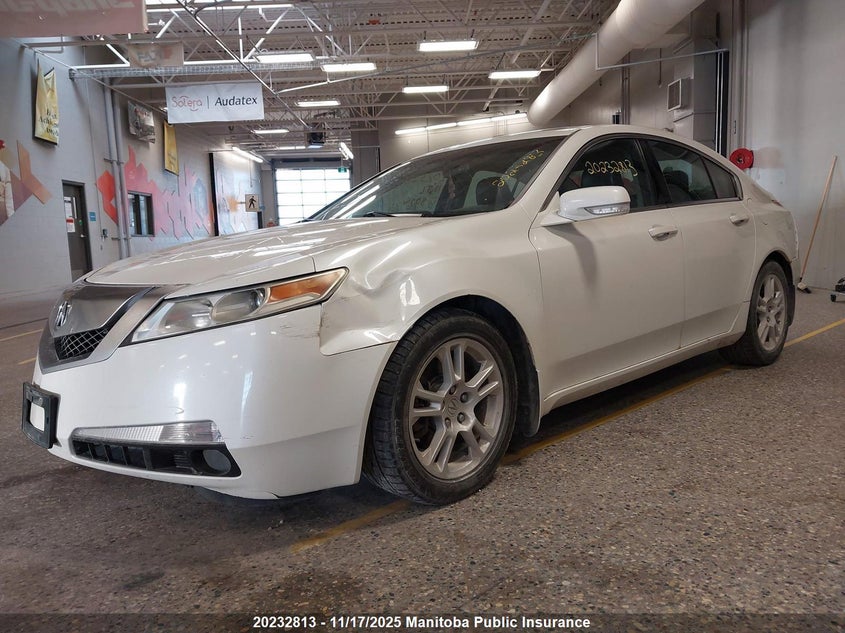 2010 Acura Tl VIN: 19UUA8F29AA800444 Lot: 20232813