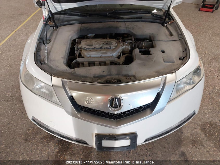 2010 Acura Tl VIN: 19UUA8F29AA800444 Lot: 20232813