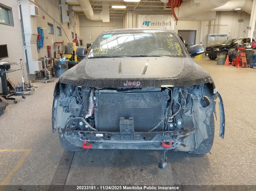 2017 Jeep Grand Cherokee Trailhawk VIN: 1C4RJFLT3HC733988 Lot: 20233181